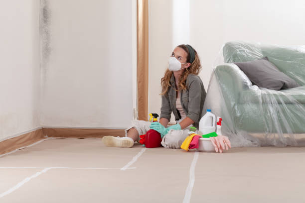 Reliable Black Mold Remediation contractor in Auburn, KY by Mold Remediation HQ